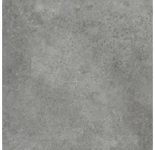 Grijze keramische tegel met mat oppervlak