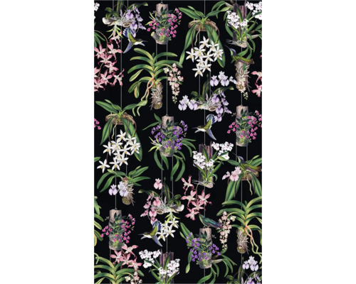 Behang met orchideeën en kolibries