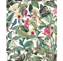 Patroon met tropische bladeren, orchideeën en vogels