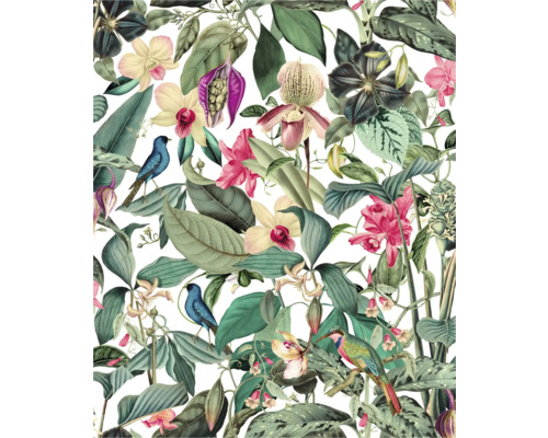 Patroon met tropische bladeren, orchideeën en vogels