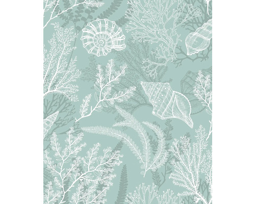 Patroon met schelpen en koraal voor decoratieve doeleinden