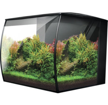 Ingericht aquarium met planten en decoratie