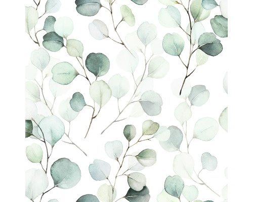 Eucalyptus bladeren patroon