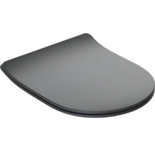 Toiletdeksel van kunststof