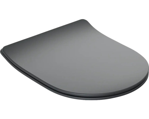 Toiletdeksel van kunststof
