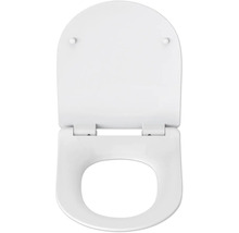 Toiletdeksel van kunststof