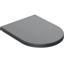 Toiletdeksel van kunststof