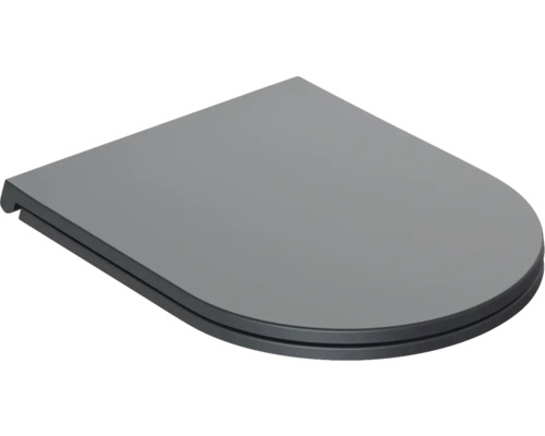 Toiletdeksel van kunststof