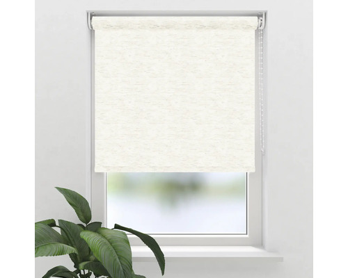 Uitzicht op een raam met een beige rolgordijn en een kamerplant