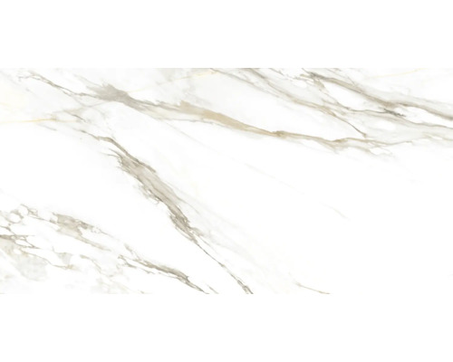 Decoratieve marmeren plaat met patroon