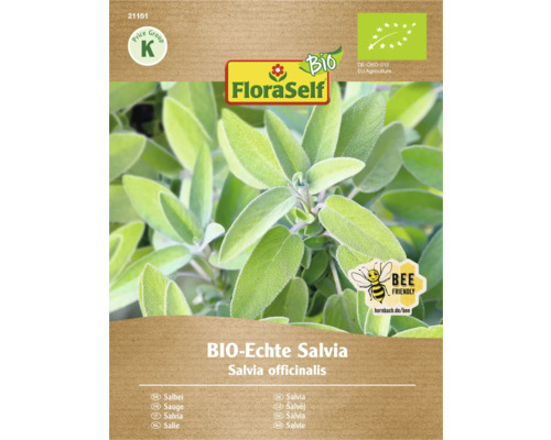 Biologische echte salie plant in pot