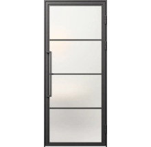Metalen frame deur met glazen vulling en handgreep
