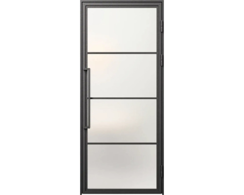 Metalen frame deur met glazen vulling en handgreep