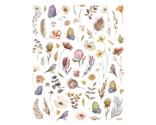 Aquarelillustratie met bloemen, bladeren, vlinders en vogels