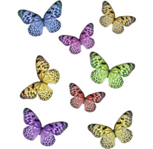 Illustratie van verschillende kleurrijke vlinders