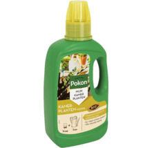 Pokon kamerplantenvoeding in groene fles met gele dop, 1 liter