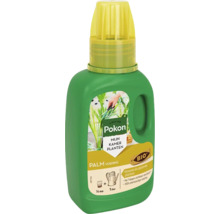 Pokon Palm plantenvoeding voor kamerplanten