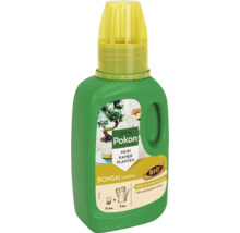 Pokon Bonsai-voeding in groene fles