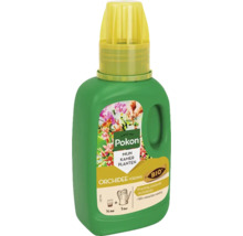 Pokon Orchideeënvoeding voor kamerplanten in groene fles