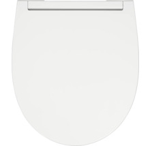 Toiletdeksel van sanitair keramiek