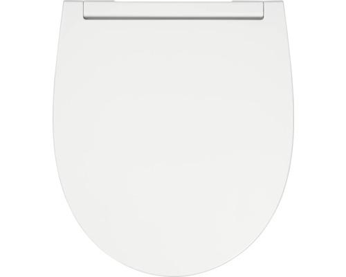 Toiletdeksel van sanitair keramiek