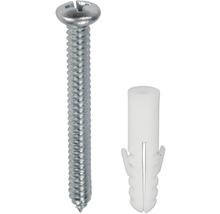 Schroef met plug
