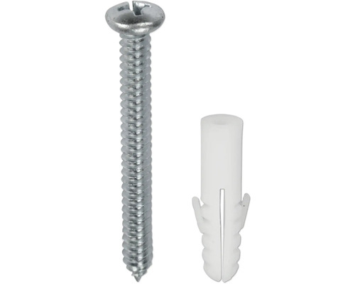 Schroef met plug