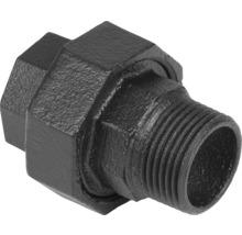 Zwart tempergietijzeren fitting buisverbinding
