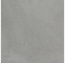 Grijze vloertegel met mat oppervlak