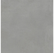 Grijze vloertegel met een matte afwerking.