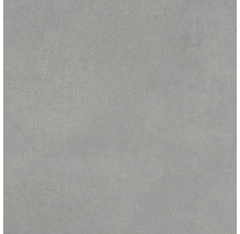 Grijze vloertegel met mat oppervlak