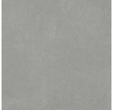 Grijze vloertegel van keramiek