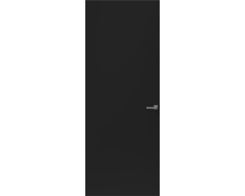 Zwarte binnendeur met deurklink