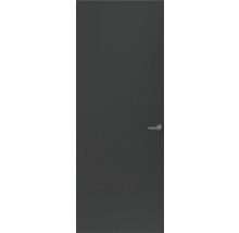 Binnendeur met deurklink