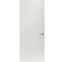 Gladde binnendeur met deurklink