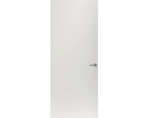 Gladde binnendeur met deurklink