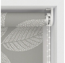 Rolgordijn met bladmotief en kettingbediening
