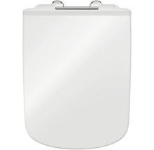 Toiletdeksel van sanitair keramiek