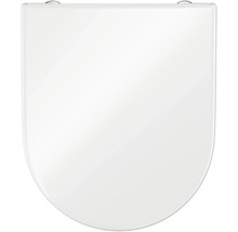 Toiletdeksel van sanitair keramiek