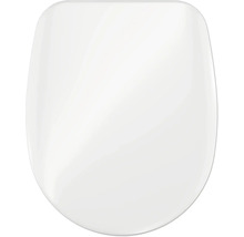 Toiletdeksel van kunststof