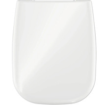 Toiletdeksel van kunststof