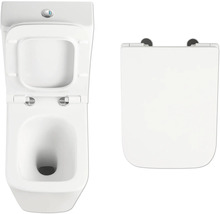 De afbeelding toont een diepspoeltoilet en een toiletdeksel.