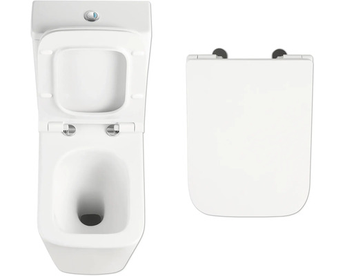 De afbeelding toont een diepspoeltoilet en een toiletdeksel.