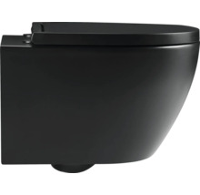 Wandcloset met diepspoeling en toiletzitting