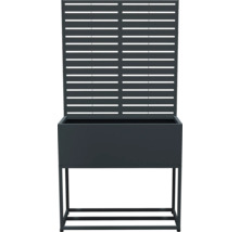 Verhoogde plantenbak met trellis voor de tuin