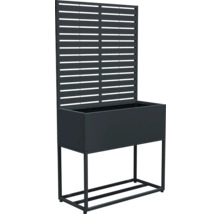 Metalen plantenbak met klimrek