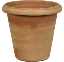 Terracotta bloempot
