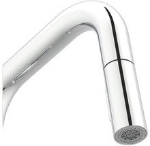 Keukenkraan met uittrekbare sproeier