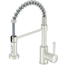 Keukenkraan met spiraalveer en uittrekbare sproeikop