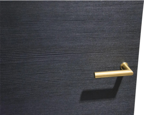 Binnendeur met gouden deurklink